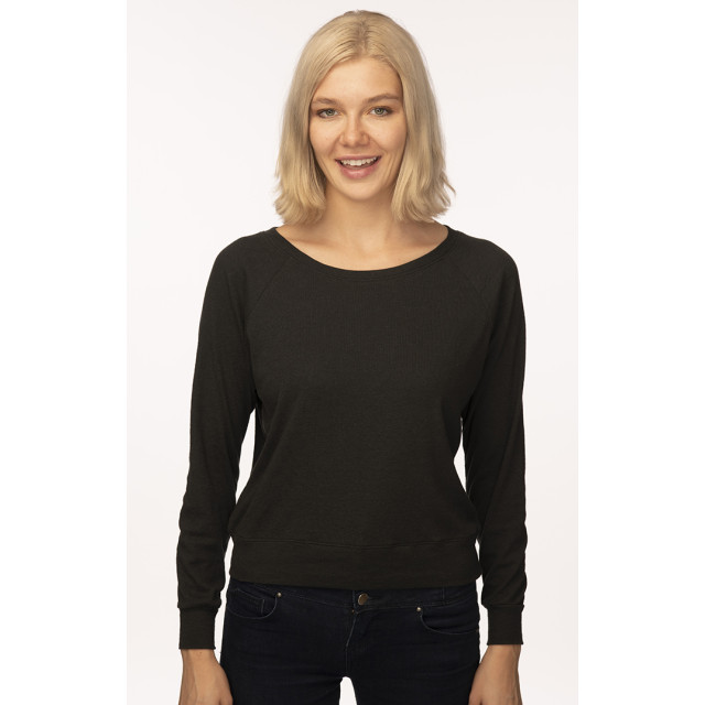 Small Image of Style 20012Triblend Long Sleeve Raglan Pullover