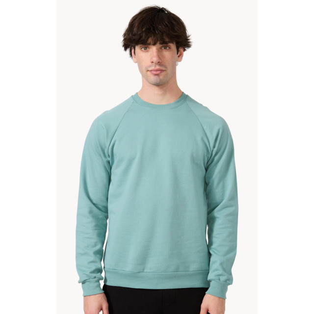 Small Image of Style 21053ORGUnisex Organic Raglan Crew Neck Sweatshirt