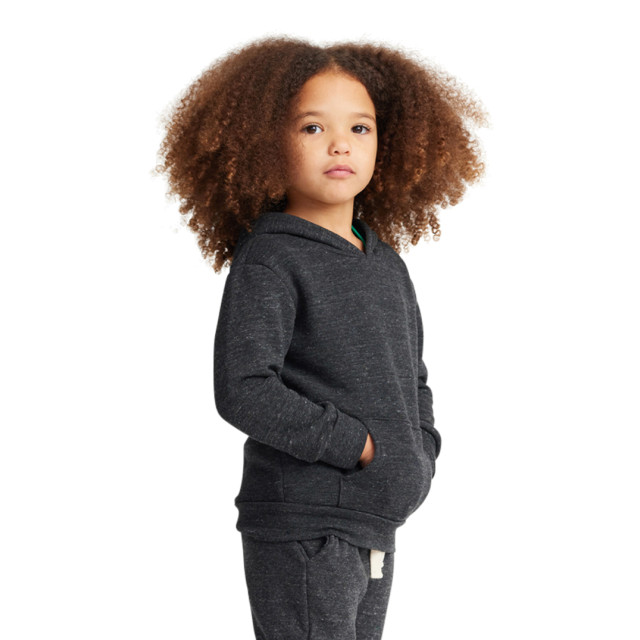 Small Image of Style 25065Toddler Triblend Fleece Pullover Hoody
