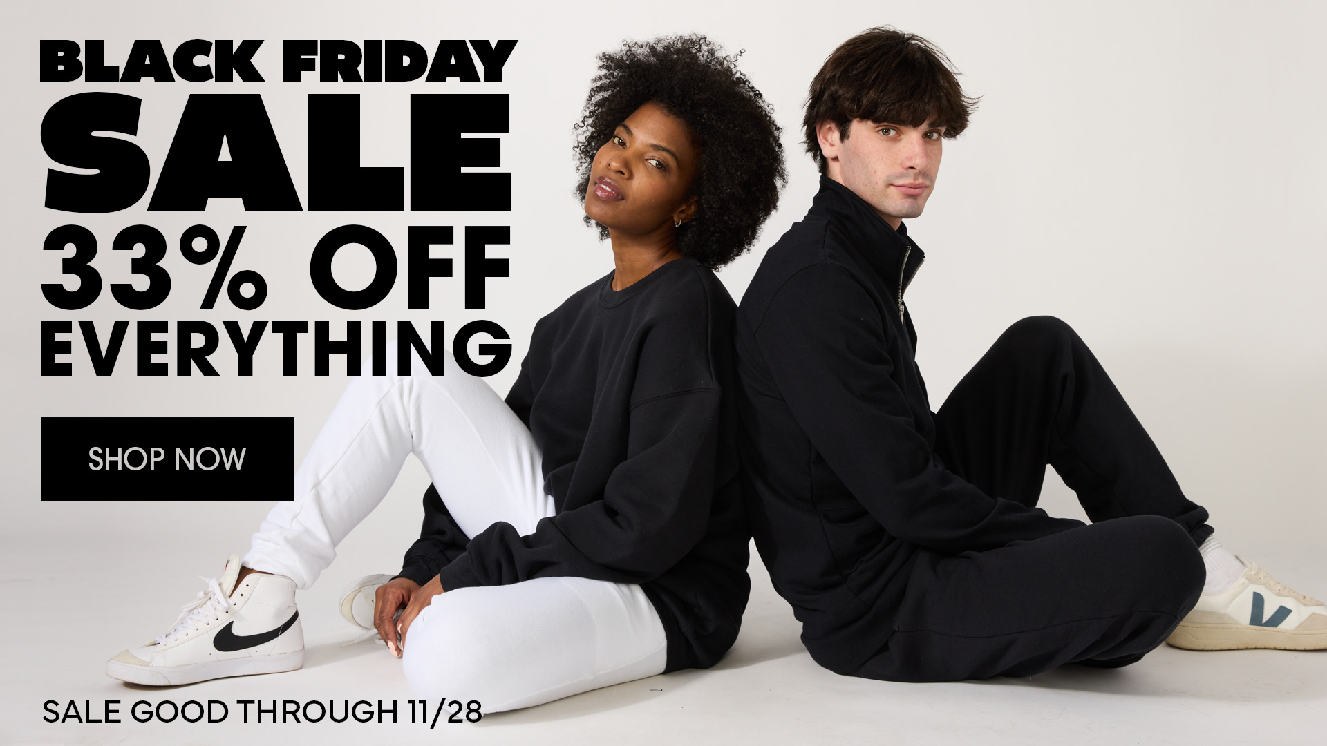 Black Friday Sale Banner - 33% off through 11/28